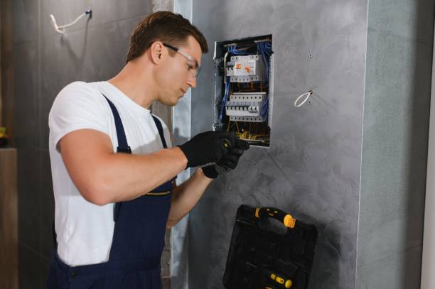 Best Electric Panel Repair  in Long Prairie, MN