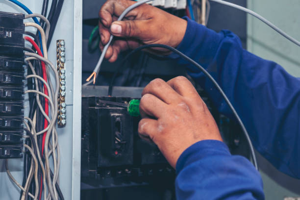 Best Electrical System Inspection  in Long Prairie, MN