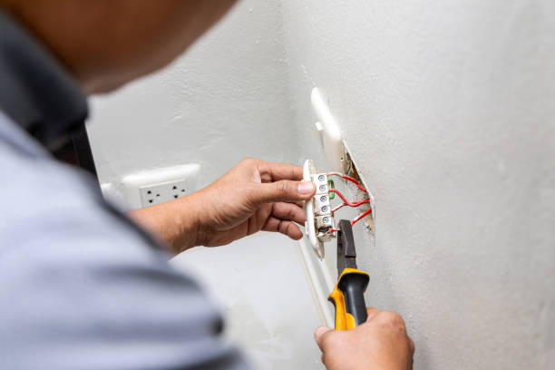 Best Ceiling Fan Installation Electrician  in Long Prairie, MN