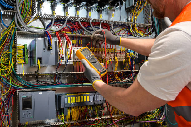 Best Local Electrician Companies  in Long Prairie, MN