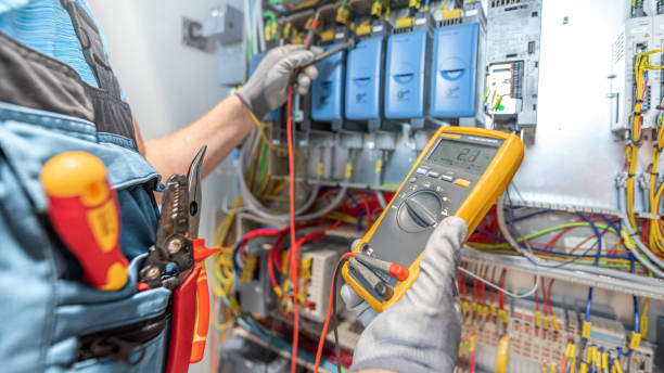 Best Ceiling Fan Installation Electrician  in Long Prairie, MN